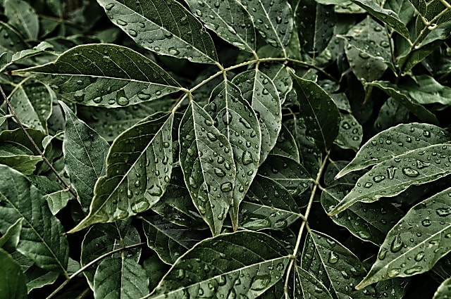jaimie-phillips-KamSS2euCzA-unsplash